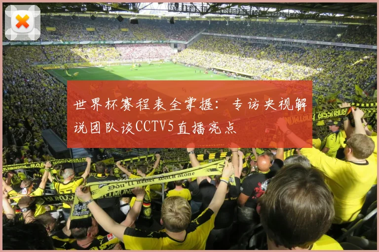 世界杯赛程表全掌握：专访央视解说团队谈CCTV5直播亮点