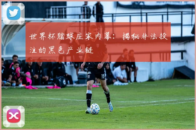 世界杯赌球庄家内幕:揭秘非法投注的黑色产业链