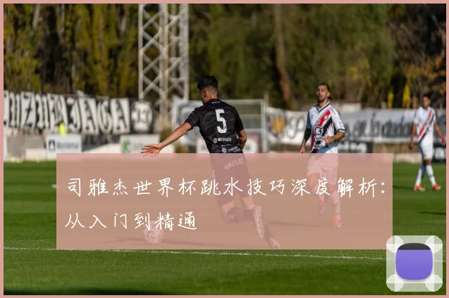 司雅杰世界杯跳水技巧深度解析：从入门到精通