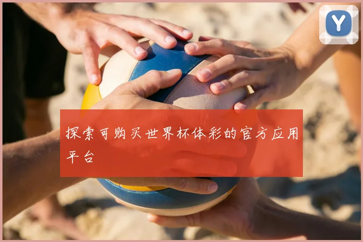 探索可购买世界杯体彩的官方应用平台