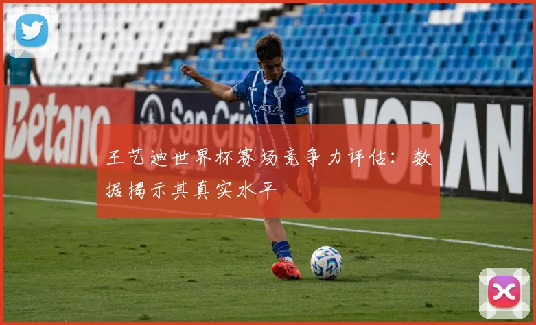 王艺迪世界杯赛场竞争力评估:数据揭示其真实水平