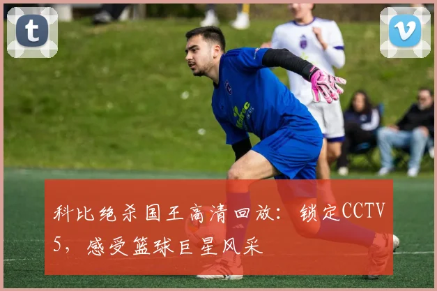 科比绝杀国王高清回放：锁定CCTV5，感受篮球巨星风采