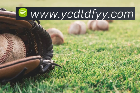 完美体育首页官网APP 体育赛事宣传图